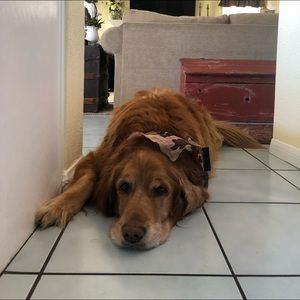 Meet your Posher, Emylee